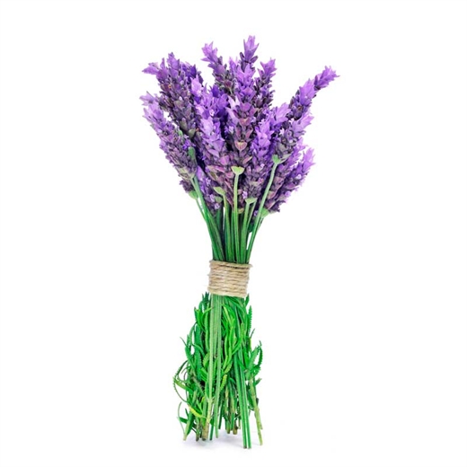 Lavanda
